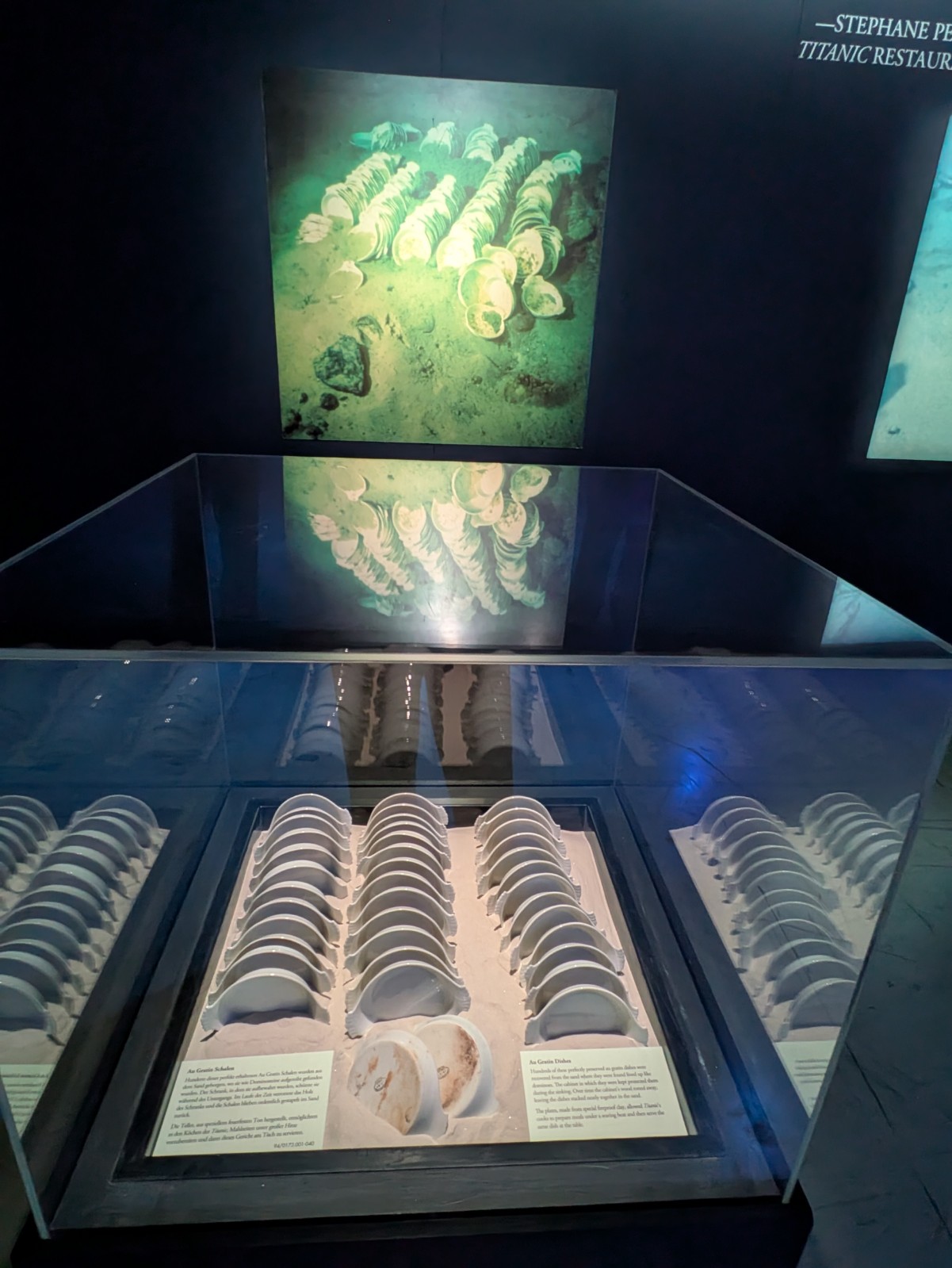 PXL 20241217 120331037.NIGHT